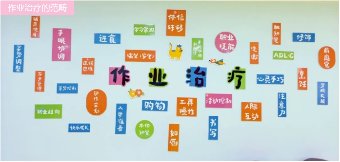 关注孩子的精细运动